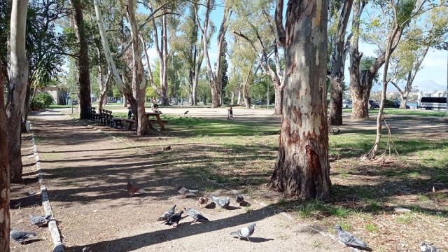 Businesses meeting with mayor to find park solution