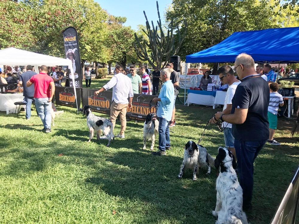 Two-day dog show in Kanoni
