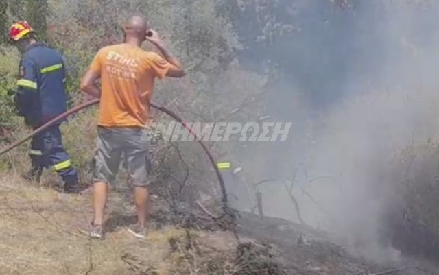 Another wildfire in Kavos brought immediately under control