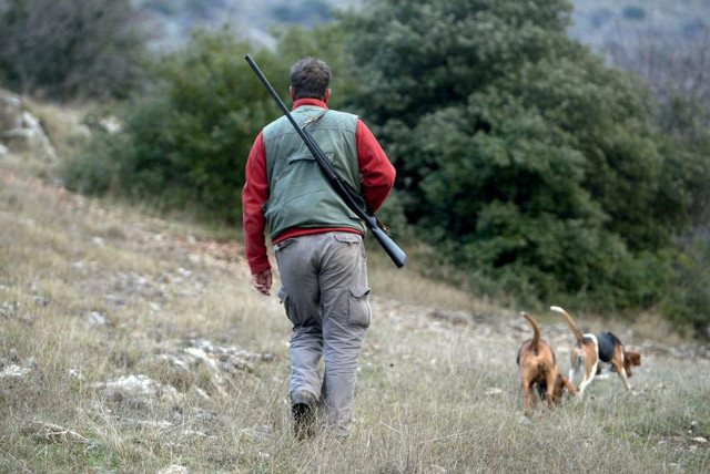 Όπλα θήρας – τι πρέπει να γνωρίζουν οι ιδιοκτήτες – τι αλλάζει στην νομοθεσία