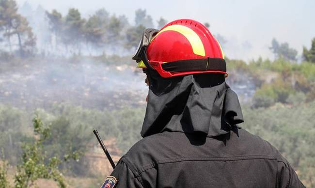 «Κόψε το δρόμο της φωτιάς»: Ημερίδα της Πυροσβεστικής Κέρκυρας