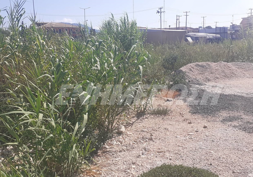 Ακόμα ...γίνεται το Πράσινο Σημείο του Δήμου Κεντρ. Κέρκυρας στην Επτανήσου