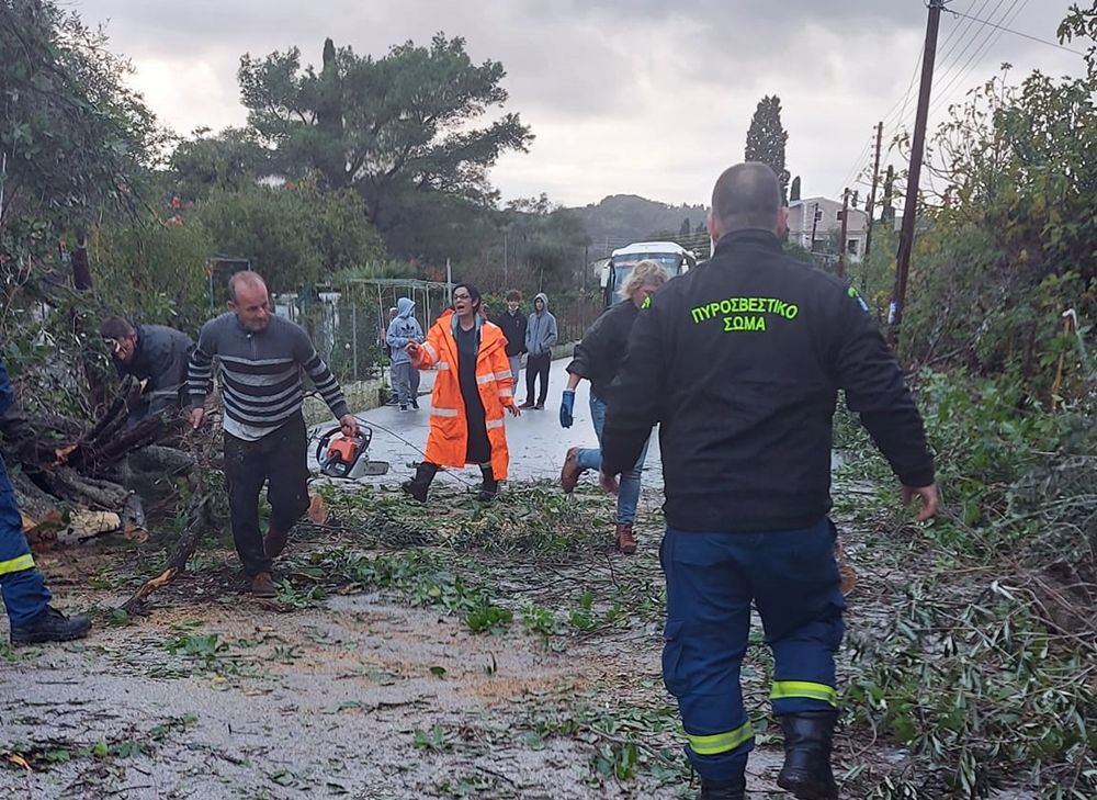Πτώσεις δέντρων σε όλο το νησί λόγω κακοκαιρίας